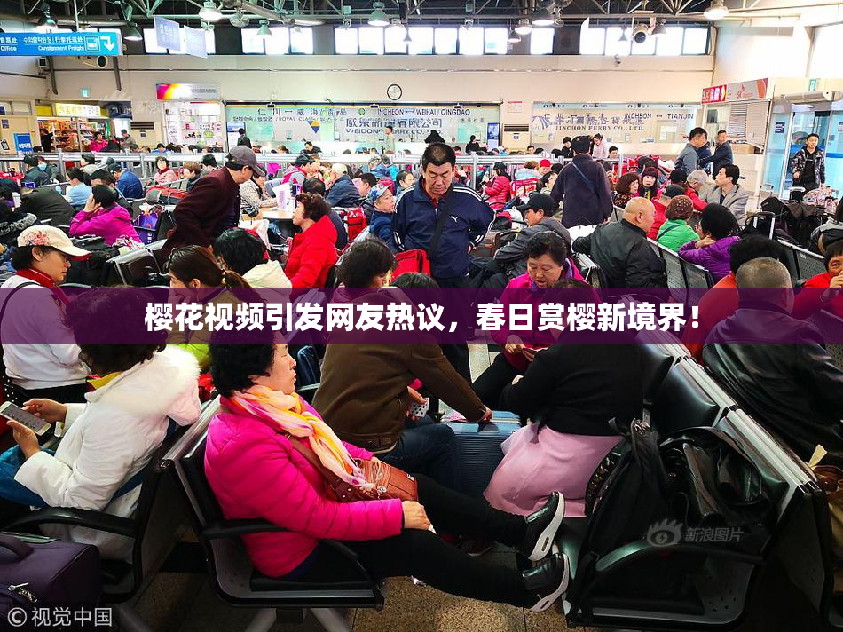 樱花视频引发网友热议，春日赏樱新境界！