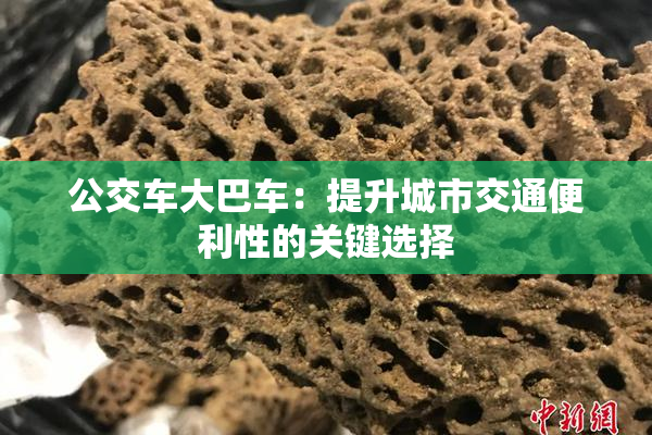 公交车大巴车：提升城市交通便利性的关键选择