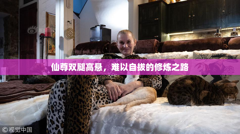 仙尊双腿高悬，难以自拔的修炼之路
