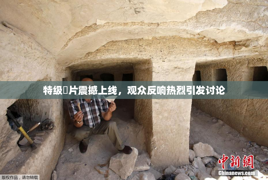特级婬片震撼上线，观众反响热烈引发讨论