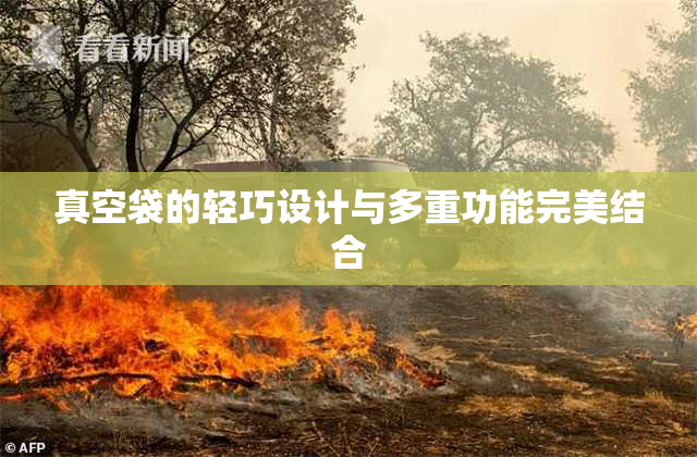 真空袋的轻巧设计与多重功能完美结合