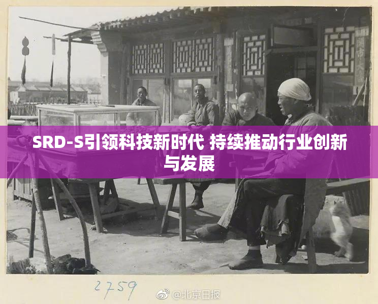 SRD-S引领科技新时代 持续推动行业创新与发展