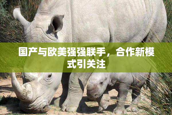 国产与欧美强强联手，合作新模式引关注