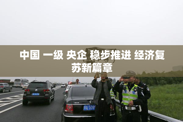 中国 一级 央企 稳步推进 经济复苏新篇章