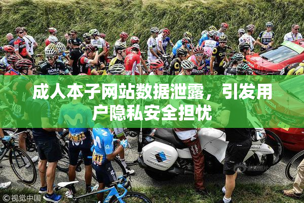 成人本子网站数据泄露，引发用户隐私安全担忧