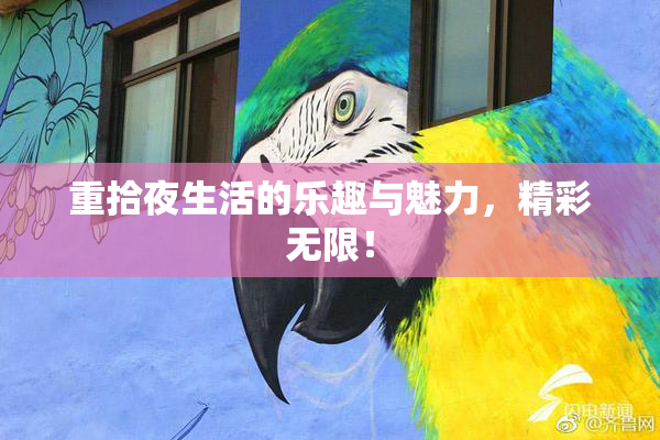 重拾夜生活的乐趣与魅力，精彩无限！
