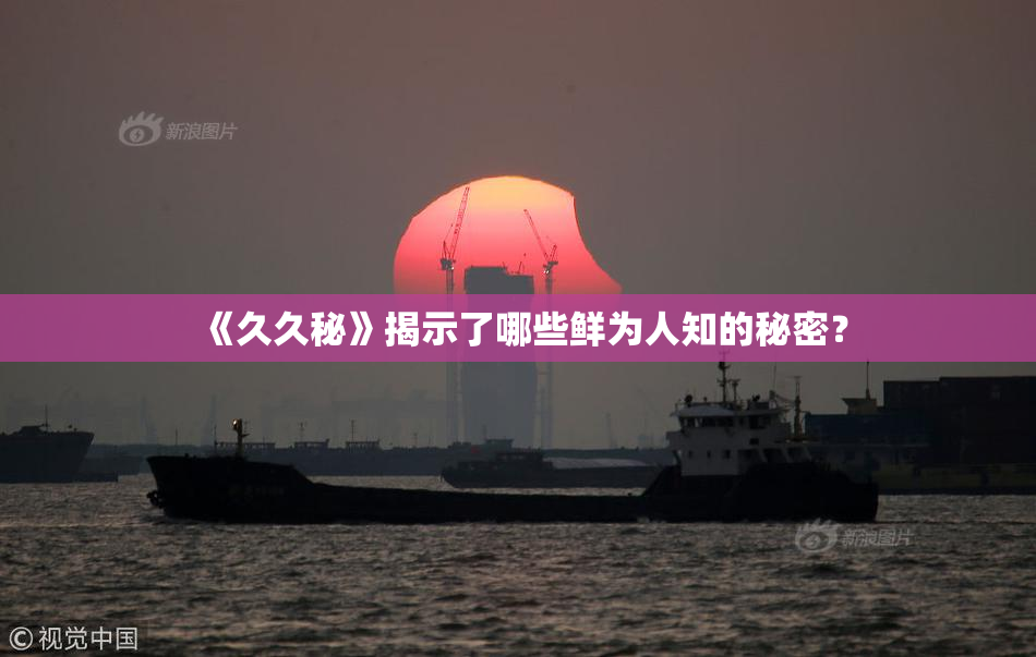 《久久秘》揭示了哪些鲜为人知的秘密？