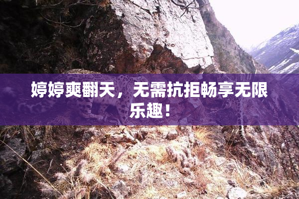 婷婷爽翻天，无需抗拒畅享无限乐趣！