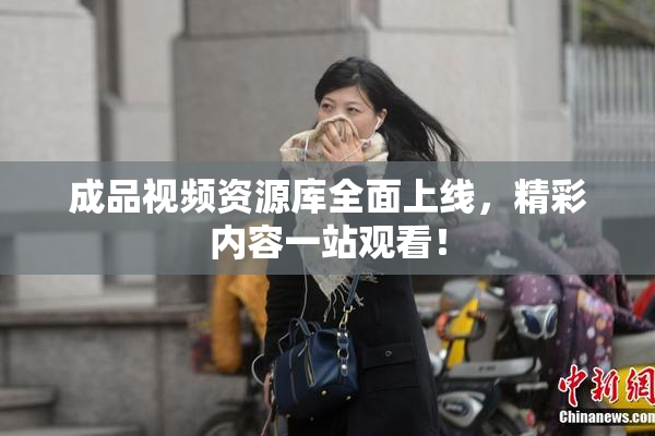 成品视频资源库全面上线，精彩内容一站观看！