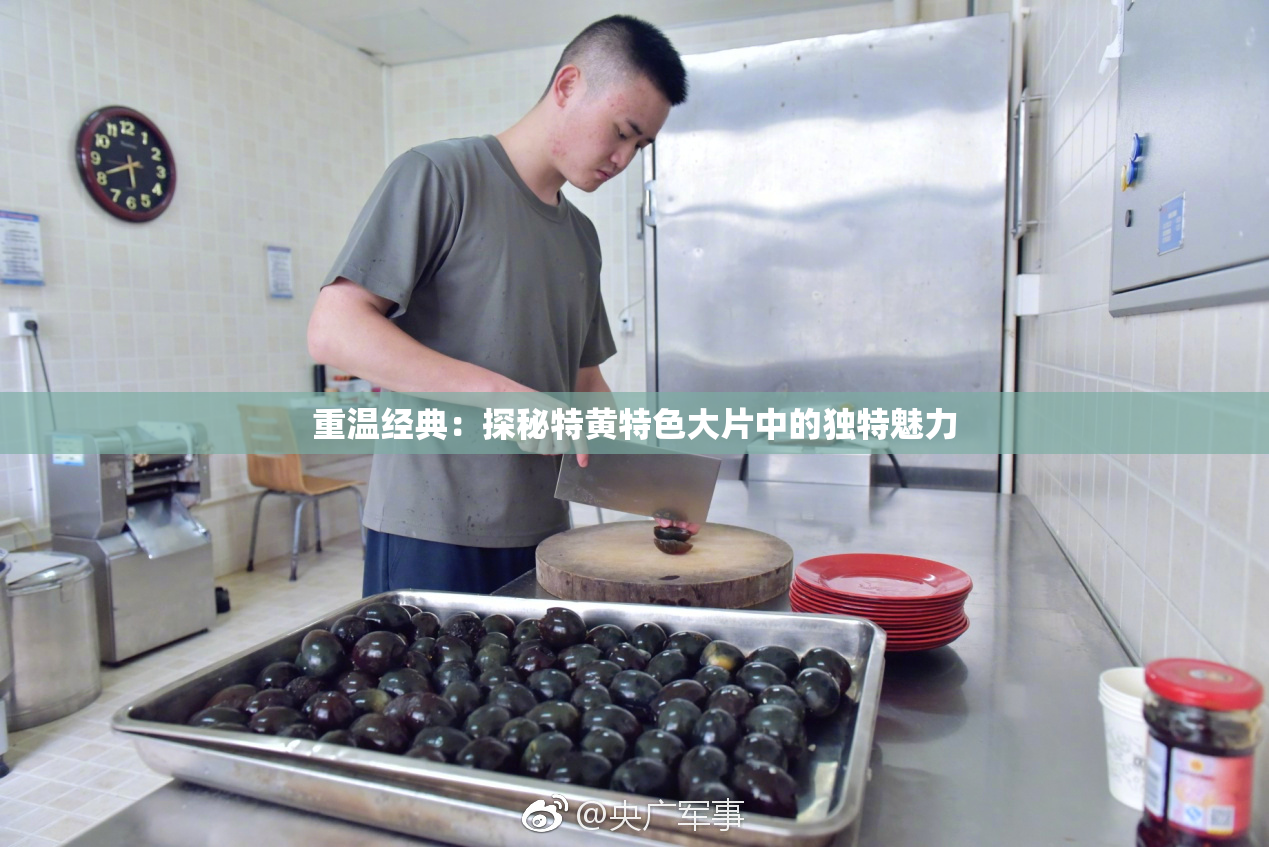 重温经典：探秘特黄特色大片中的独特魅力