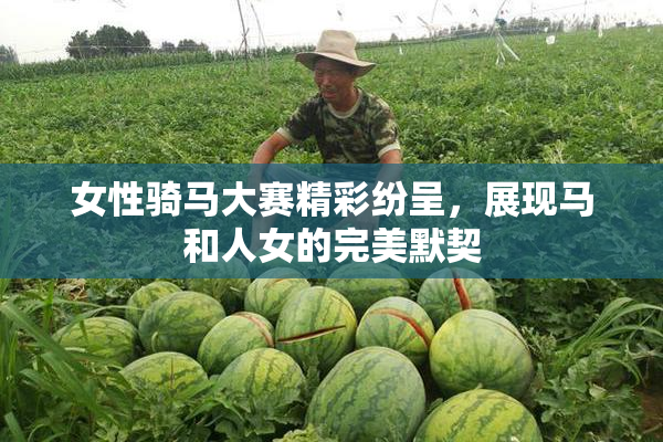 女性骑马大赛精彩纷呈，展现马和人女的完美默契