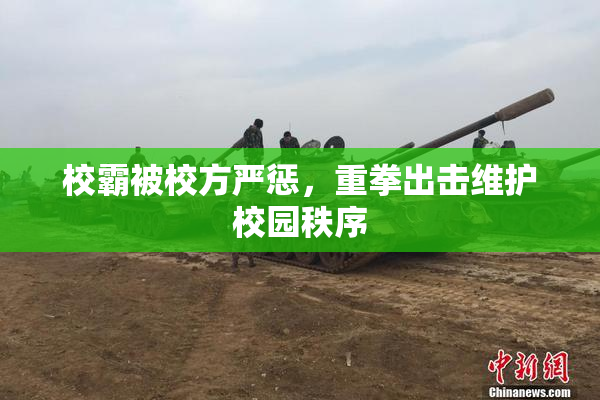校霸被校方严惩，重拳出击维护校园秩序