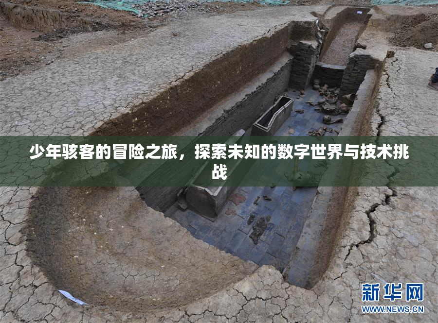 少年骇客的冒险之旅，探索未知的数字世界与技术挑战