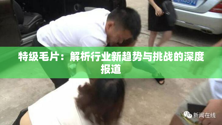 特级毛片：解析行业新趋势与挑战的深度报道