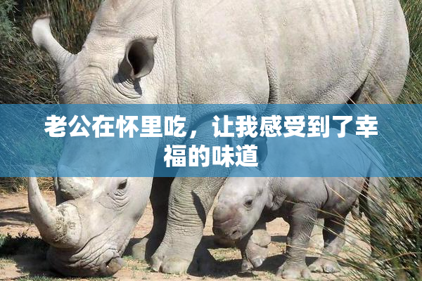 老公在怀里吃，让我感受到了幸福的味道