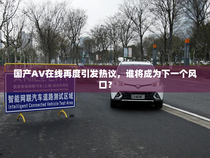 国产AV在线再度引发热议，谁将成为下一个风口？