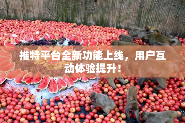 推特平台全新功能上线，用户互动体验提升！