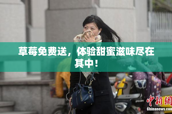草莓免费送，体验甜蜜滋味尽在其中！
