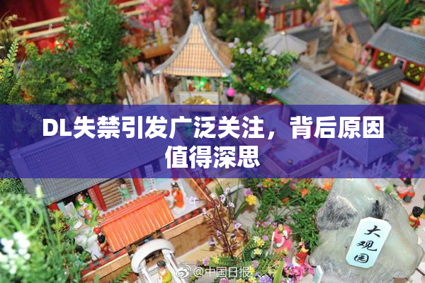 DL失禁引发广泛关注，背后原因值得深思