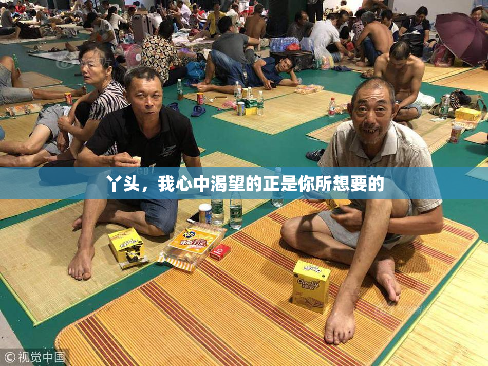 丫头，我心中渴望的正是你所想要的