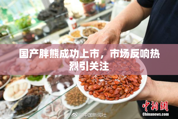 国产胖熊成功上市，市场反响热烈引关注