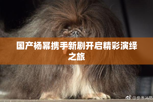 国产杨幂携手新剧开启精彩演绎之旅