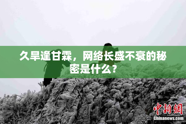 久旱逢甘霖，网络长盛不衰的秘密是什么？