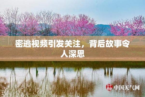 密逃视频引发关注，背后故事令人深思