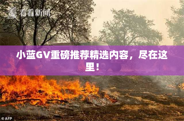 小蓝GV重磅推荐精选内容，尽在这里！