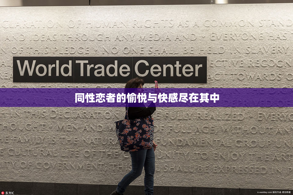 同性恋者的愉悦与快感尽在其中