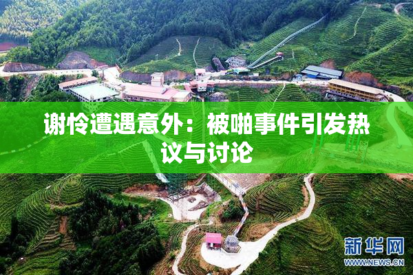 谢怜遭遇意外：被啪事件引发热议与讨论