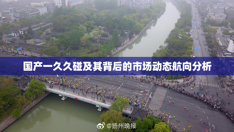 国产一久久碰及其背后的市场动态航向分析