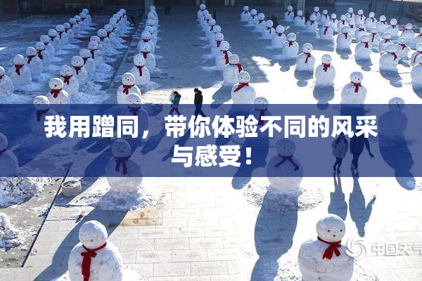 我用蹭同，带你体验不同的风采与感受！