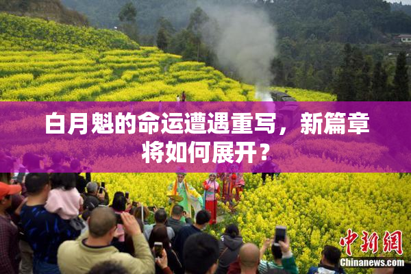 白月魁的命运遭遇重写，新篇章将如何展开？