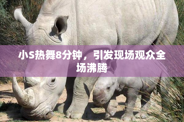 小S热舞8分钟，引发现场观众全场沸腾