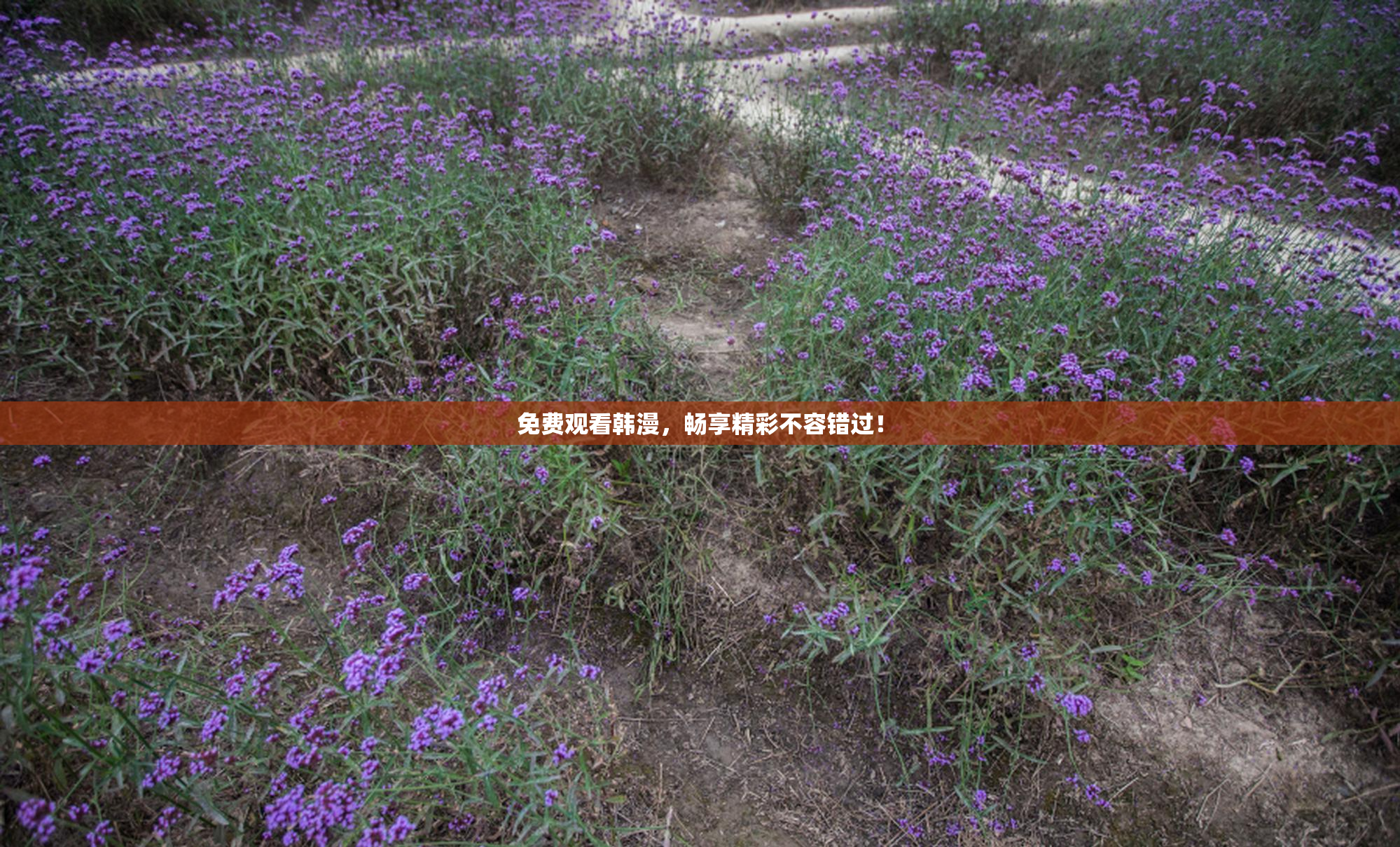 免费观看韩漫，畅享精彩不容错过！