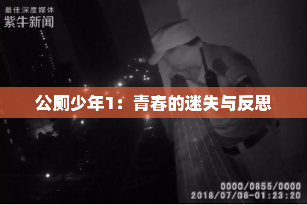 公厕少年1：青春的迷失与反思