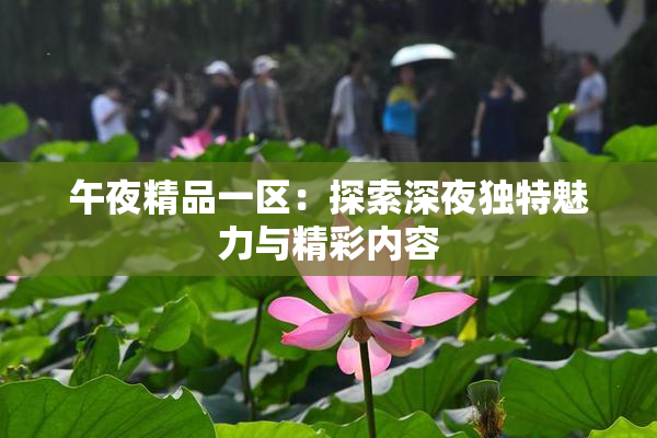 午夜精品一区：探索深夜独特魅力与精彩内容