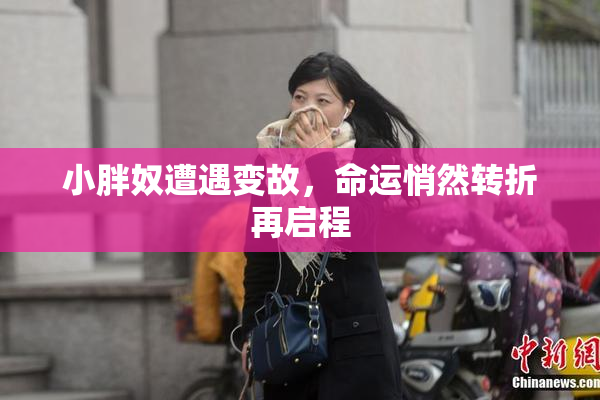 小胖奴遭遇变故，命运悄然转折再启程