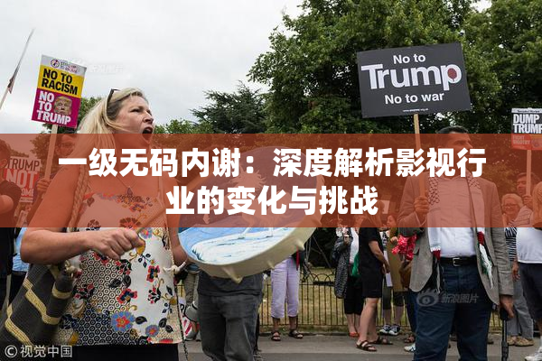 一级无码内谢：深度解析影视行业的变化与挑战