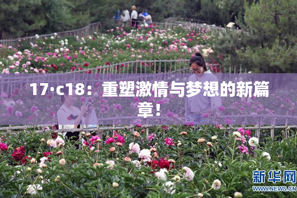 17·c18：重塑激情与梦想的新篇章！