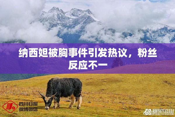 纳西妲被胸事件引发热议，粉丝反应不一