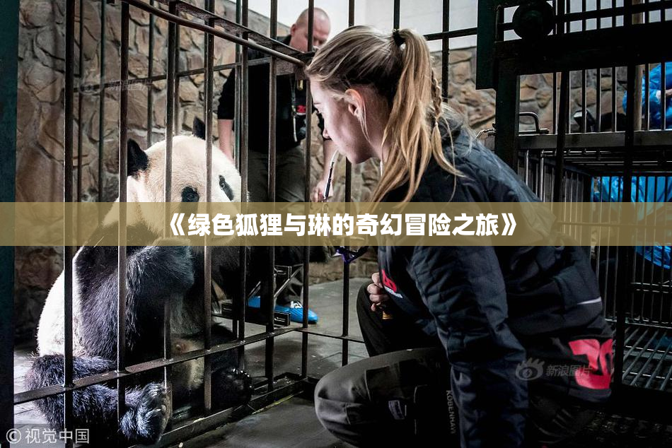 《绿色狐狸与琳的奇幻冒险之旅》