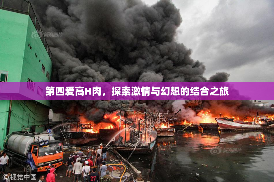 第四爱高H肉，探索激情与幻想的结合之旅