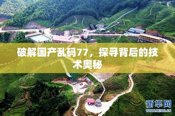 破解国产乱码77，探寻背后的技术奥秘