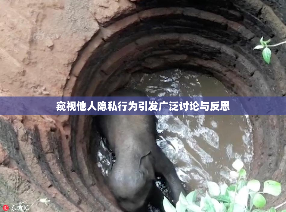 窥视他人隐私行为引发广泛讨论与反思