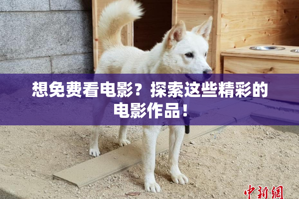 想免费看电影？探索这些精彩的电影作品！
