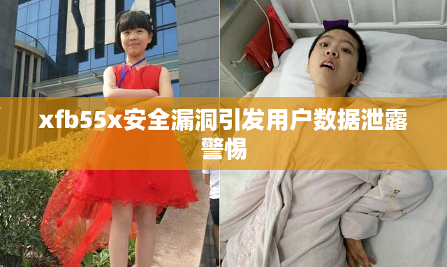 xfb55x安全漏洞引发用户数据泄露警惕