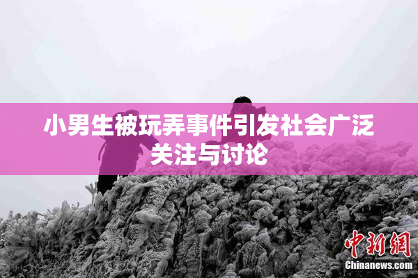 小男生被玩弄事件引发社会广泛关注与讨论