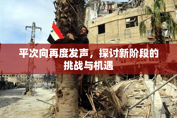 平次向再度发声，探讨新阶段的挑战与机遇